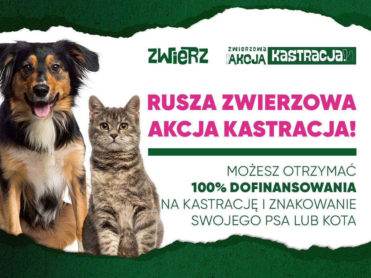 ZWIERZowa Akcja Kastracja 2024 - plakat